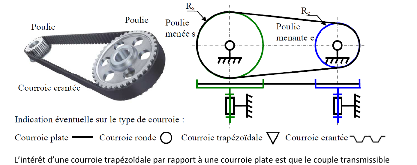Poulie-courroie crantée, technologies de courroie