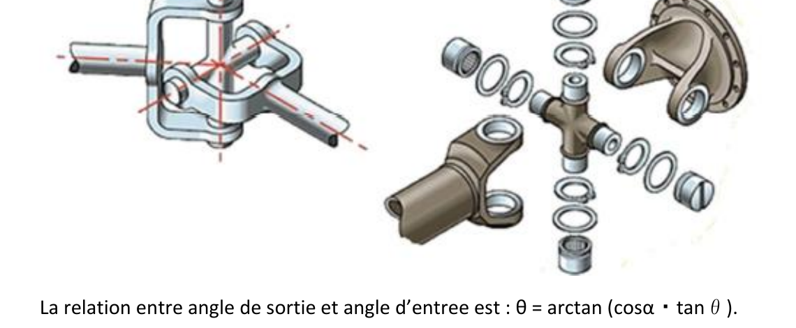 Joint de cardan en coupe et vue éclatée